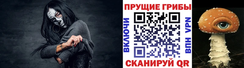купить наркотики сайты  Мышкин  Галлюциногенные грибы Psilocybe 