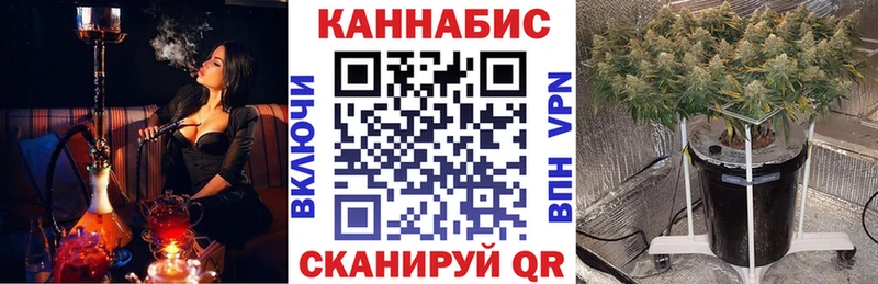 Шишки марихуана Ganja  ОМГ ОМГ ТОР  Мышкин  купить  
